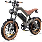 DYU M20 20 Inch Long-Range Electric BIKE